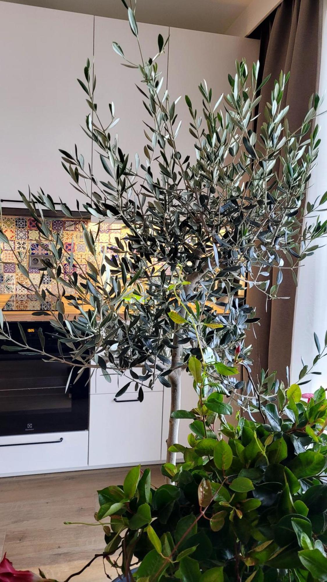 Appartamento Soleggiato Z Basenem Dziwnów Exterior foto