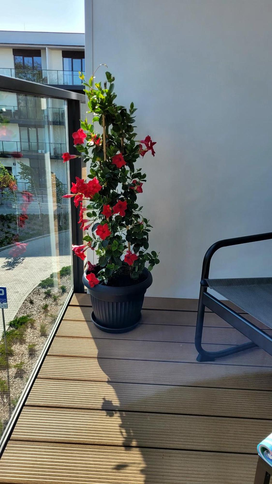 Appartamento Soleggiato Z Basenem Dziwnów Exterior foto